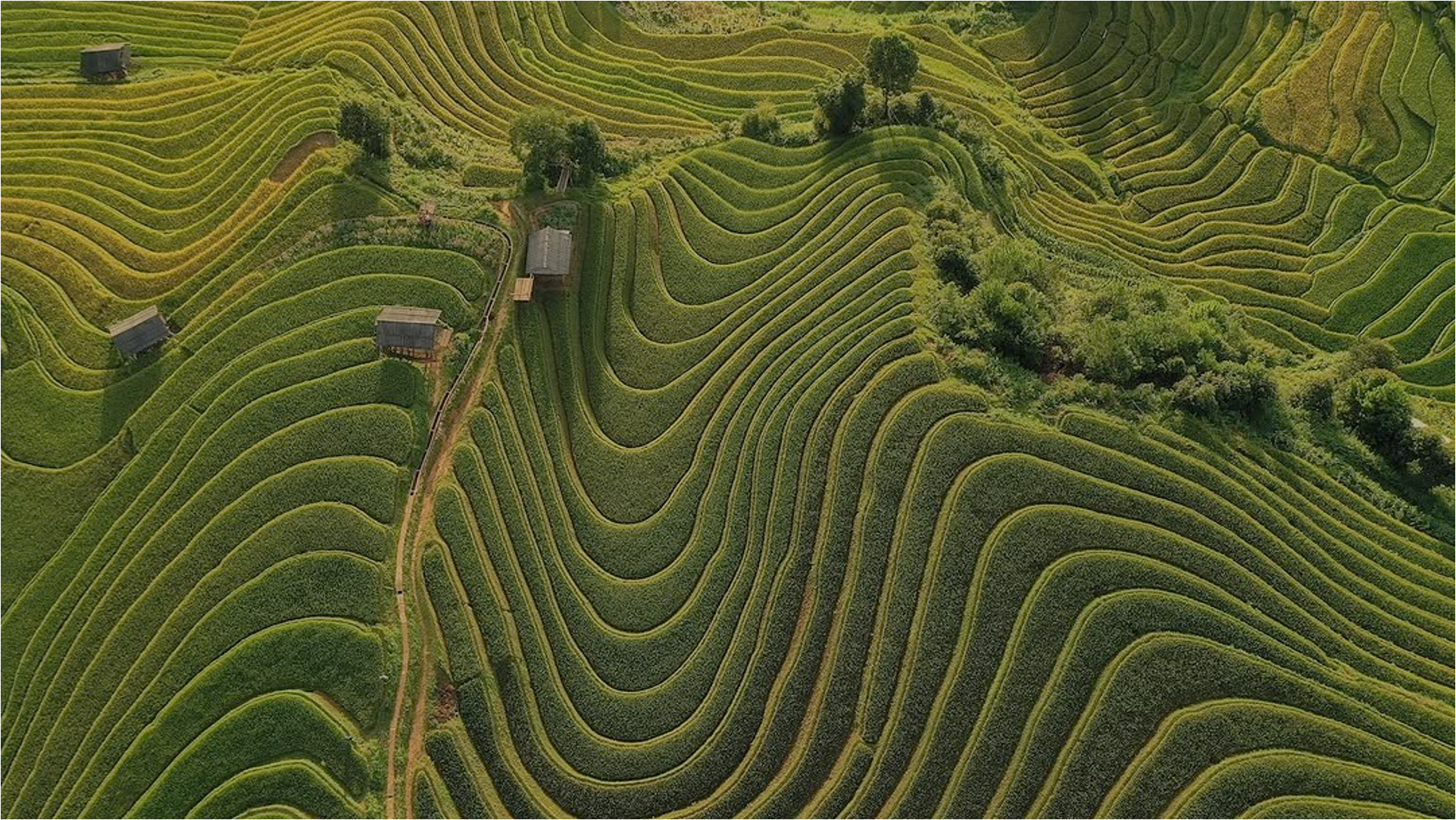 Pemandangan desa