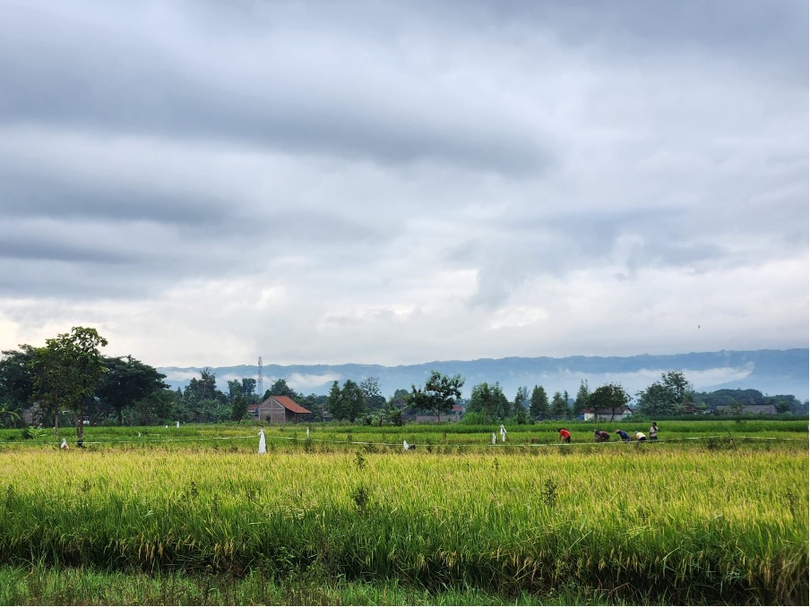 Membangun Keseimbangan, Strategi Inklusif untuk Mengatasi Ketimpangan Wilayah di Pulau Jawa